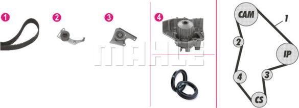 Wilmink Group WG2182175 - Водна помпа+ к-кт ангренажен ремък vvparts.bg