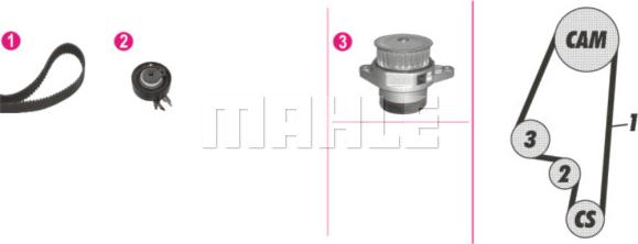 Wilmink Group WG2182171 - Водна помпа+ к-кт ангренажен ремък vvparts.bg