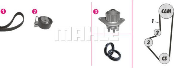 Wilmink Group WG2182173 - Водна помпа+ к-кт ангренажен ремък vvparts.bg