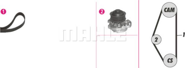 Wilmink Group WG2182172 - Водна помпа+ к-кт ангренажен ремък vvparts.bg