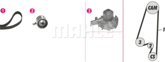 Wilmink Group WG2182200 - Водна помпа+ к-кт ангренажен ремък vvparts.bg