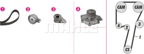 Wilmink Group WG2182215 - Водна помпа+ к-кт ангренажен ремък vvparts.bg