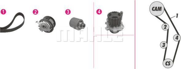 Wilmink Group WG2182216 - Водна помпа+ к-кт ангренажен ремък vvparts.bg