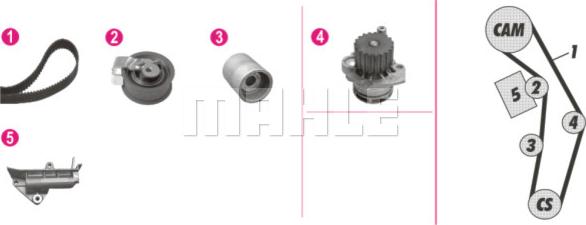 Wilmink Group WG2182218 - Водна помпа+ к-кт ангренажен ремък vvparts.bg