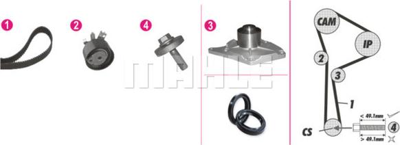 Wilmink Group WG2182217 - Водна помпа+ к-кт ангренажен ремък vvparts.bg