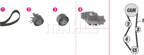 Wilmink Group WG2182230 - Водна помпа+ к-кт ангренажен ремък vvparts.bg