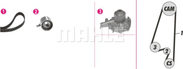 Wilmink Group WG2182231 - Водна помпа+ к-кт ангренажен ремък vvparts.bg