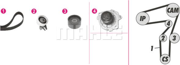 Wilmink Group WG2182233 - Водна помпа+ к-кт ангренажен ремък vvparts.bg