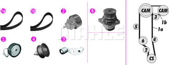 Wilmink Group WG2182224 - Водна помпа+ к-кт ангренажен ремък vvparts.bg