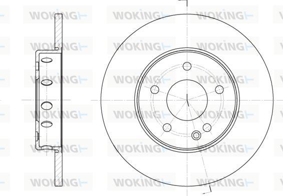 Woking D6310.00 - Спирачен диск vvparts.bg