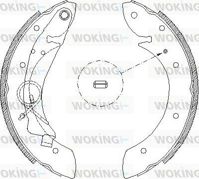 Woking Z4419.00 - Спирачна челюст vvparts.bg