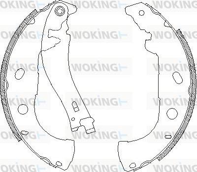 Woking Z4072.00 - Спирачна челюст vvparts.bg