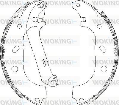 Woking Z4170.00 - Спирачна челюст vvparts.bg