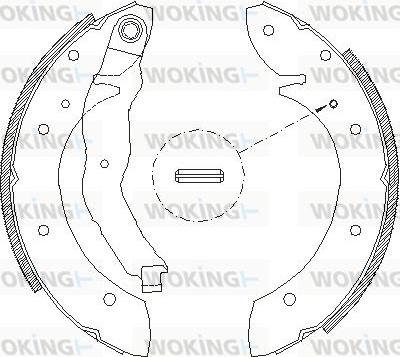 Woking Z4396.01 - Спирачна челюст vvparts.bg