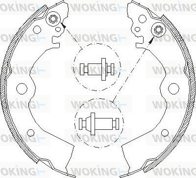 Woking Z4393.00 - Спирачна челюст vvparts.bg