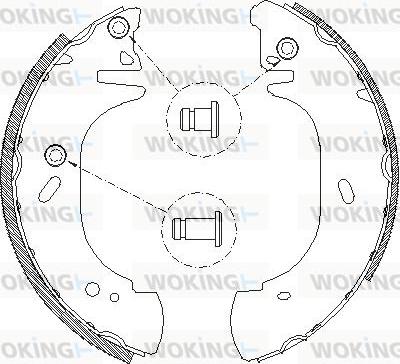 Woking Z4306.00 - Спирачна челюст vvparts.bg