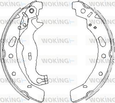 Woking Z4242.00 - Спирачна челюст vvparts.bg