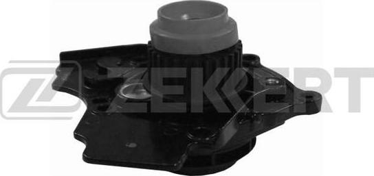 Zekkert WP-1017 - Водна помпа vvparts.bg