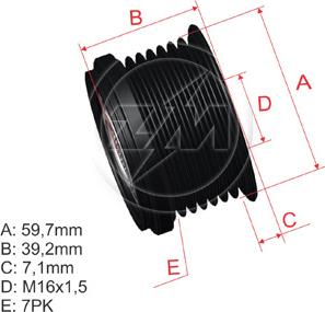 ZM ZM 96.008.02 - Ремъчна шайба, генератор vvparts.bg