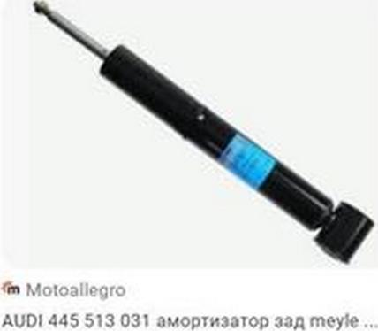 ZPY 445 513 031 - Амортисьор vvparts.bg