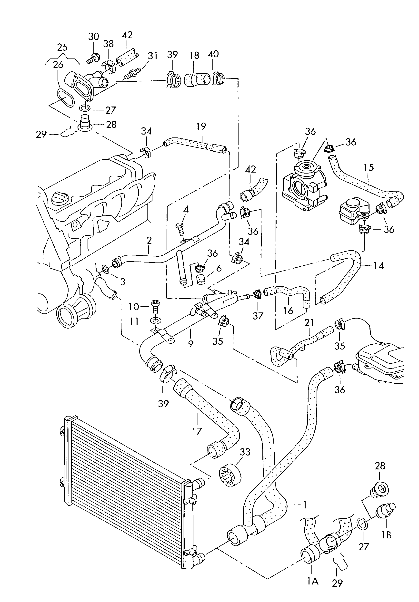 Skoda 8D0 121 101 K - Маркуч на радиатора vvparts.bg