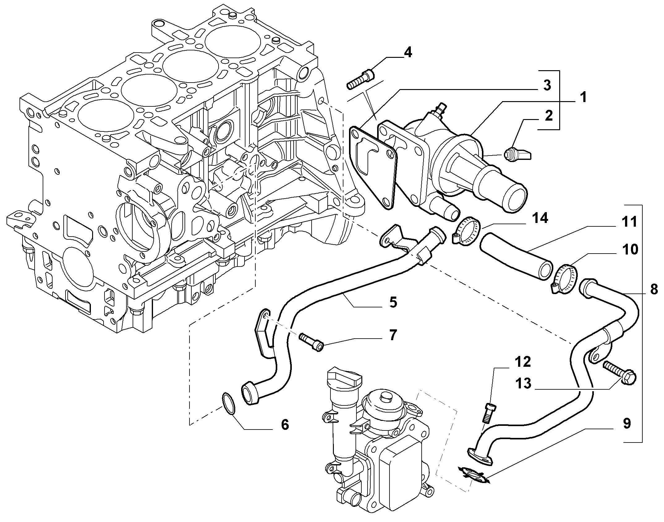 Alfa Romeo 55186166 - Тръбопровод за охладителната течност vvparts.bg