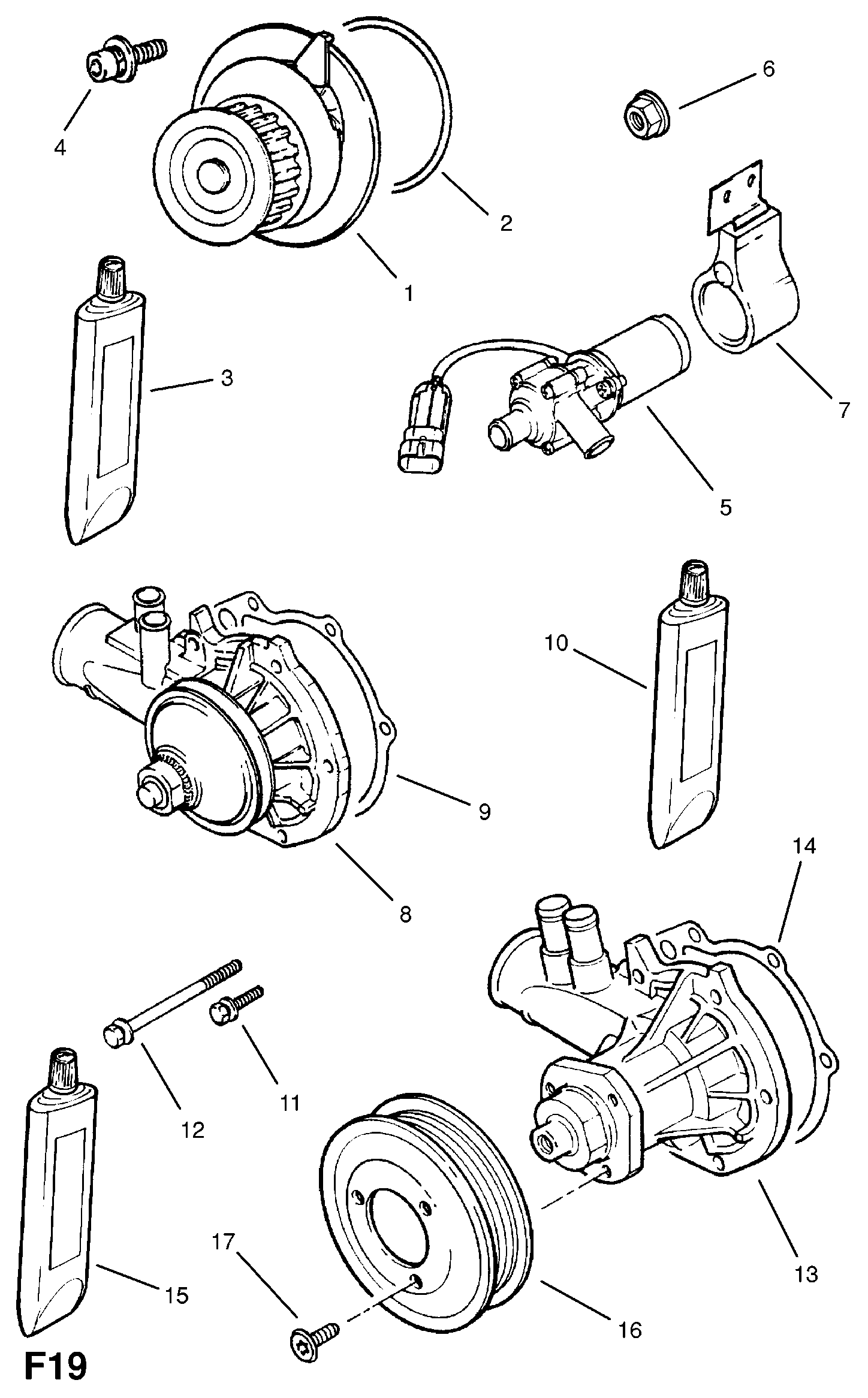 FORD 1334008 - Водна помпа vvparts.bg