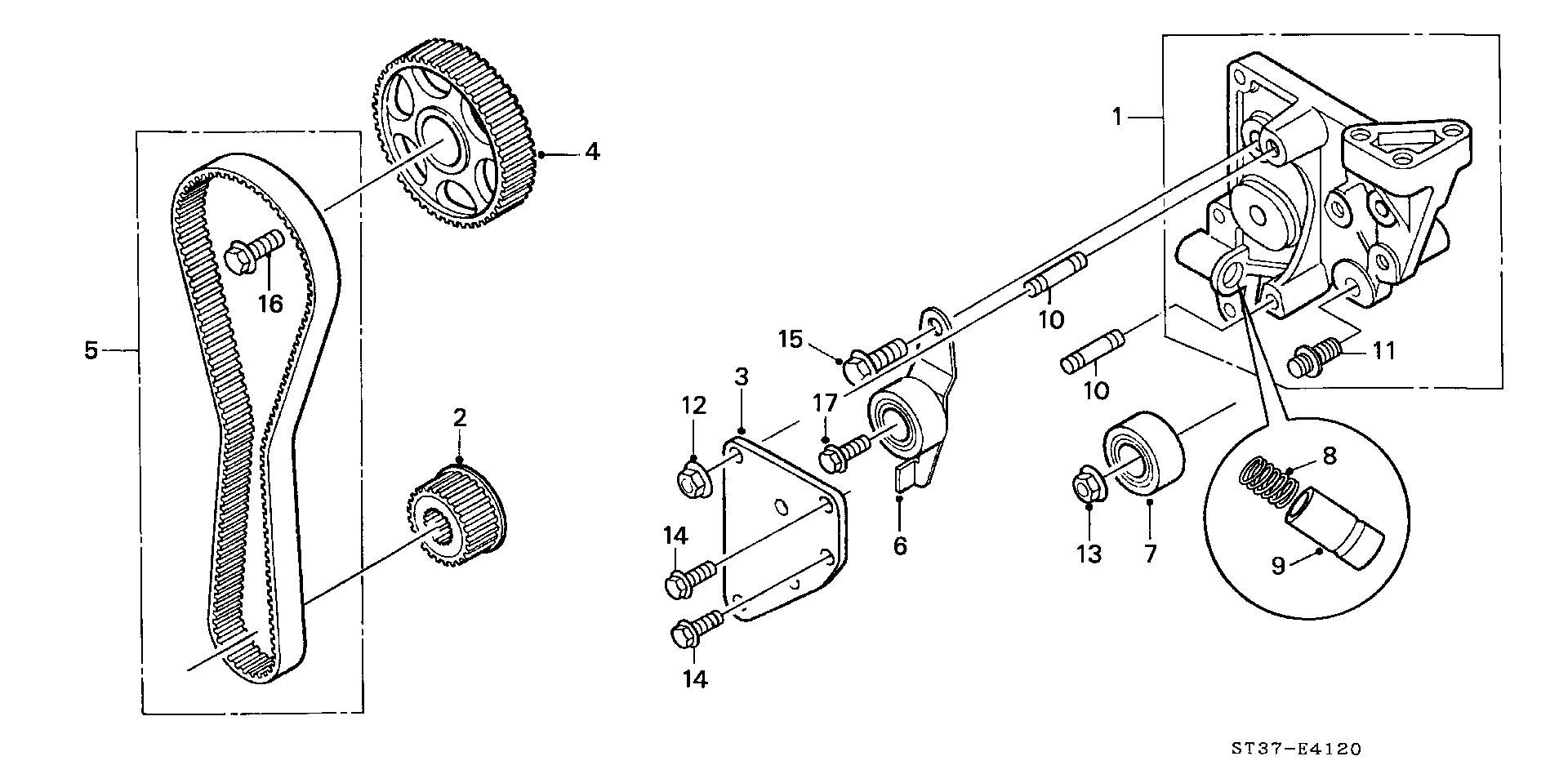 Honda 14400-P5T-G00 - Ангренажен ремък vvparts.bg