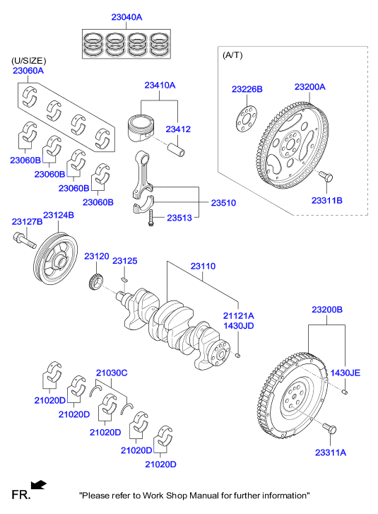 KIA 23121-03AA0 - Зъбно колело, колянов вал vvparts.bg