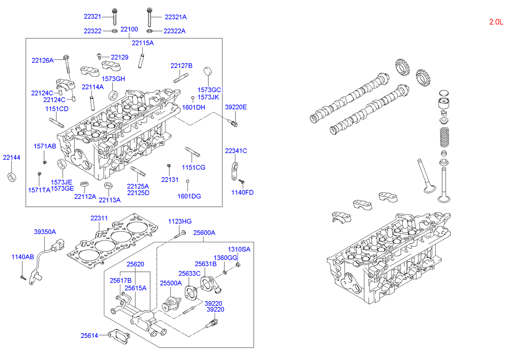 KIA 22144-3B000 - Семеринг, разпределителен вал vvparts.bg