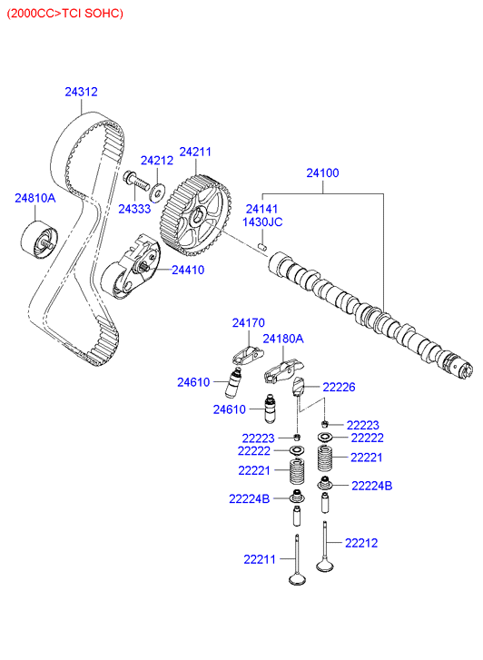 KIA 24312 38010 - Ангренажен ремък vvparts.bg