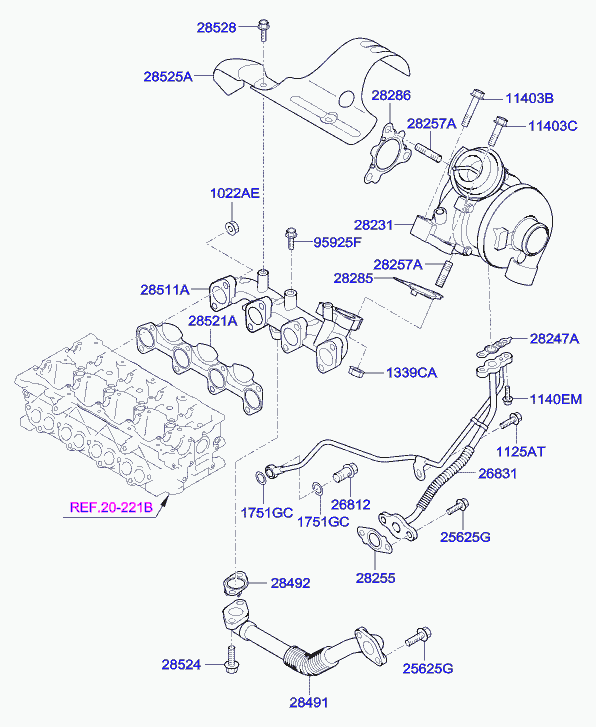 Hyundai 282012A800 - Турбина, принудително пълнене с въздух vvparts.bg