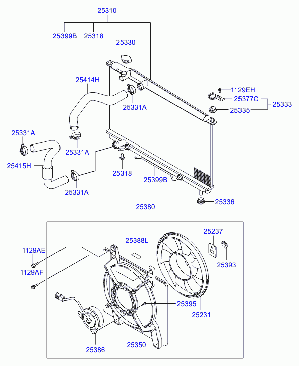 MAZDA 2533039100 - Капачка, радиатор vvparts.bg