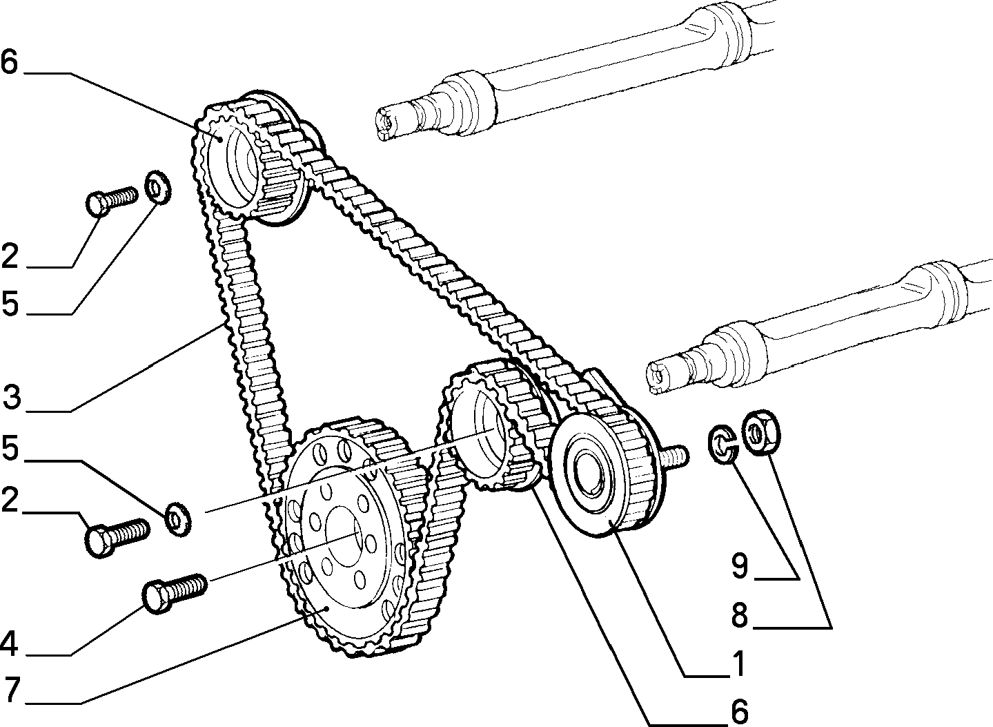 FIAT 60812382 - Ангренажен ремък vvparts.bg