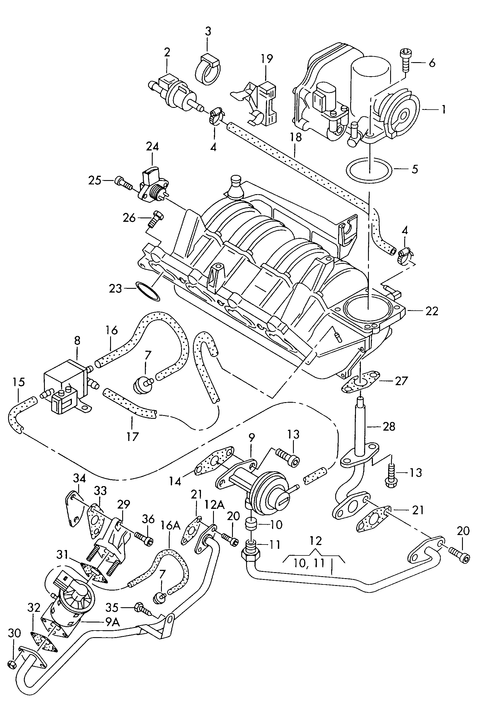 Seat 036 131 547 F - Уплътнение, AGR-клапан vvparts.bg