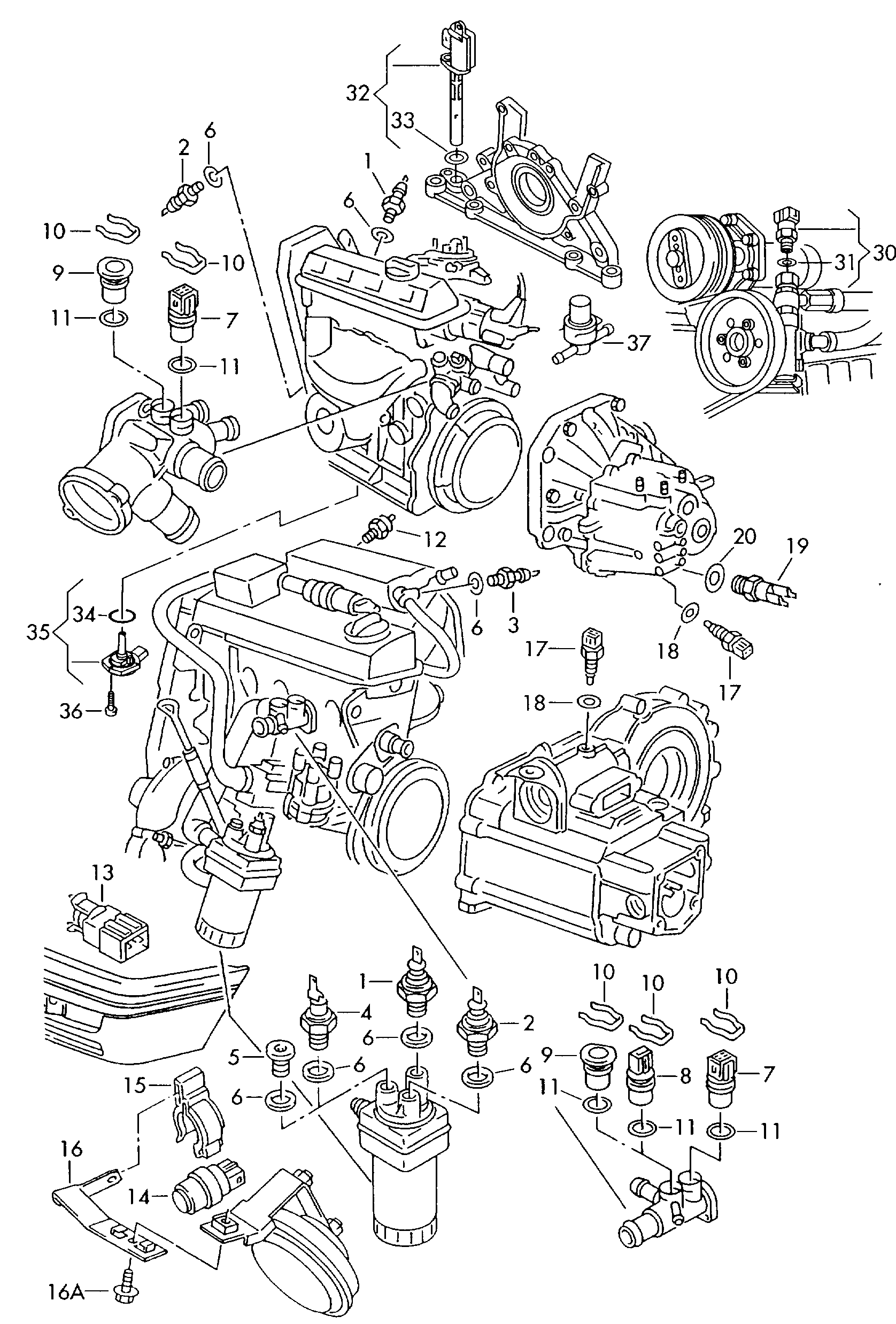 AUDI 036 919 081 D - Датчик, налягане на маслото vvparts.bg