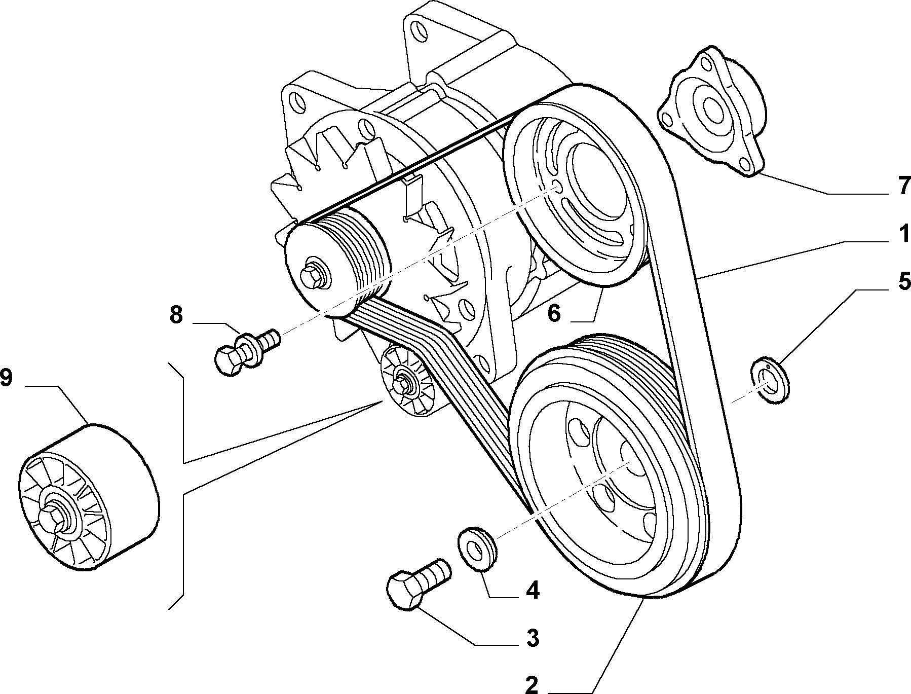 FIAT 504106751 - Паразитна / водеща ролка, пистов ремък vvparts.bg