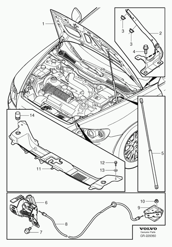 Volvo 31218478 - Газов амортисьор, капак на двигателя vvparts.bg