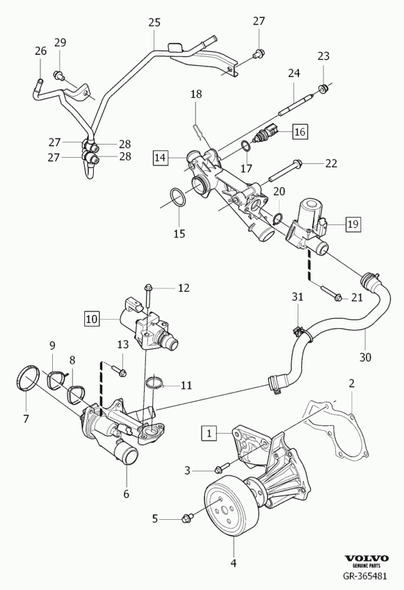 Volvo 31 216 202 - Уплътнение, водна помпа vvparts.bg