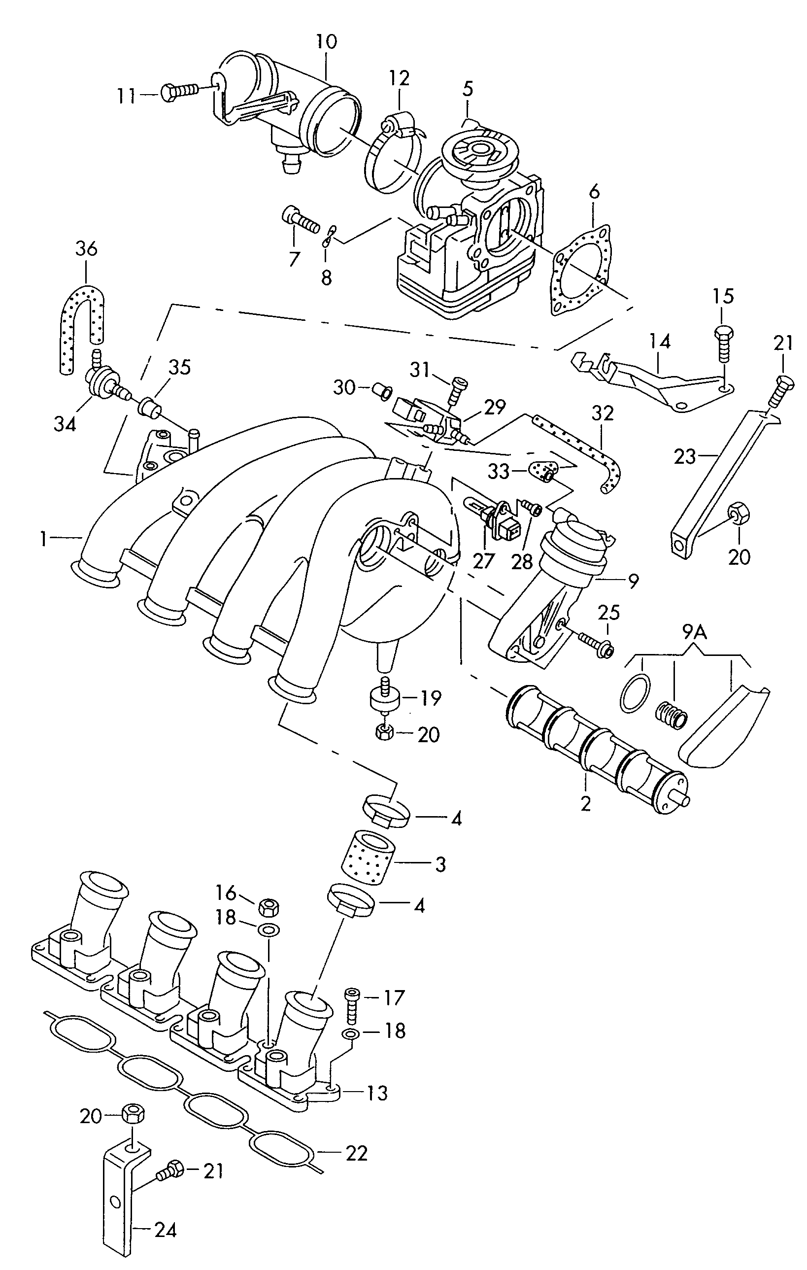 Skoda 095 323 969 - O-ring vvparts.bg