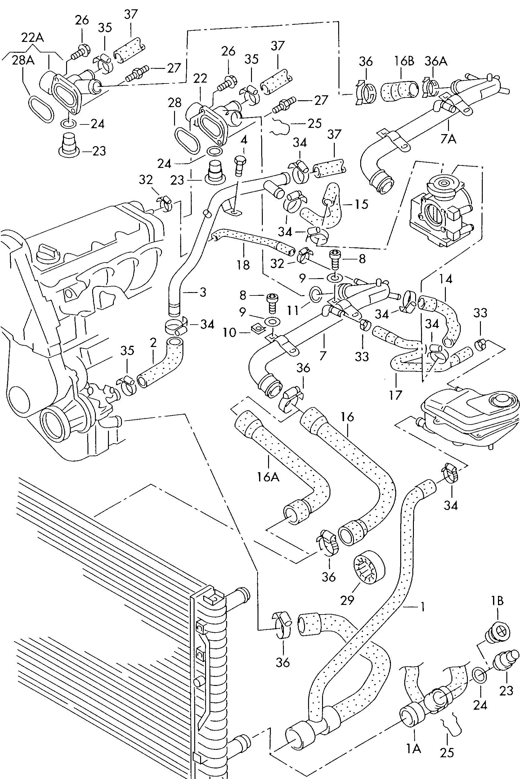 VW 8D0 121 055 G - Маркуч на радиатора vvparts.bg